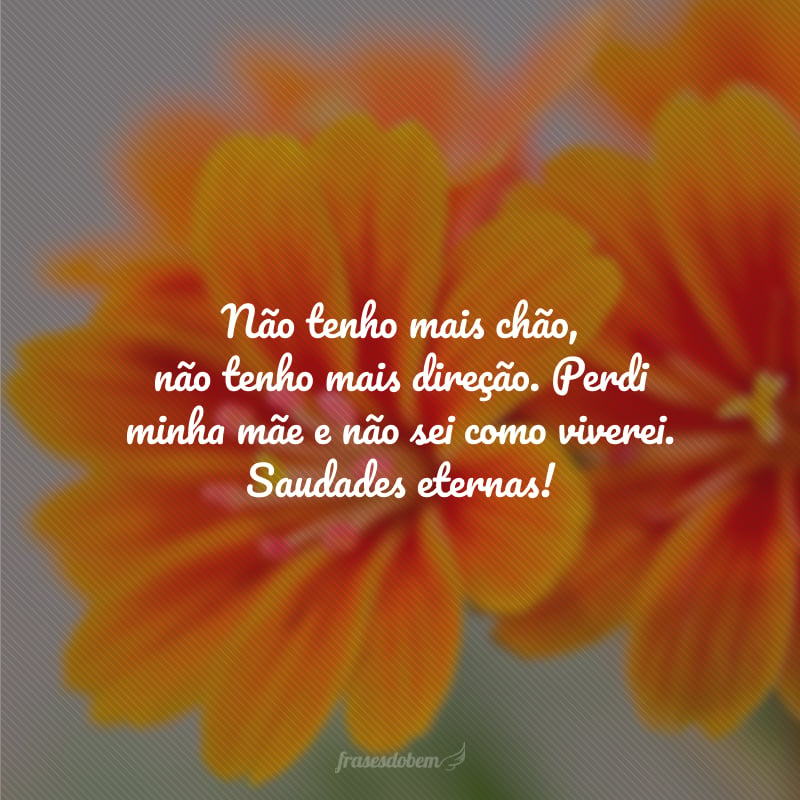 Não tenho mais chão, não tenho mais direção. Perdi minha mãe e não sei como viverei. Saudades eternas!