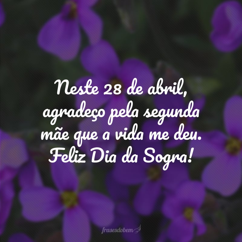 Neste 28 de abril, agradeço pela segunda mãe que a vida me deu. Feliz Dia da Sogra!