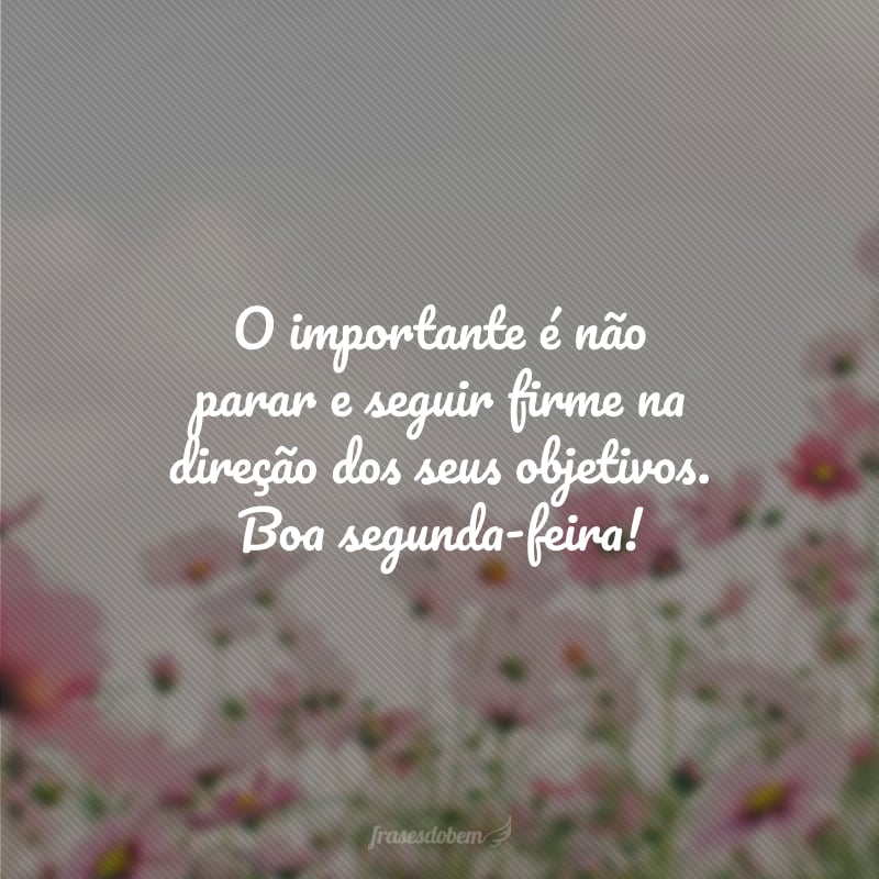 O importante é não parar e seguir firme na direção dos seus objetivos. Boa segunda-feira!