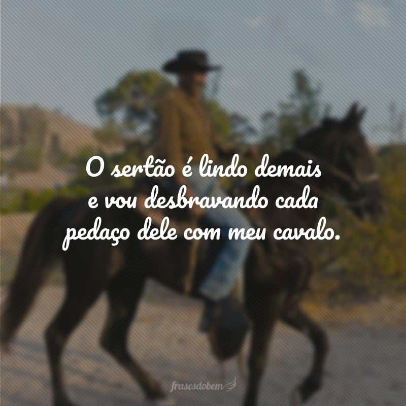 O sertão é lindo demais e vou desbravando cada pedaço dele com meu cavalo.