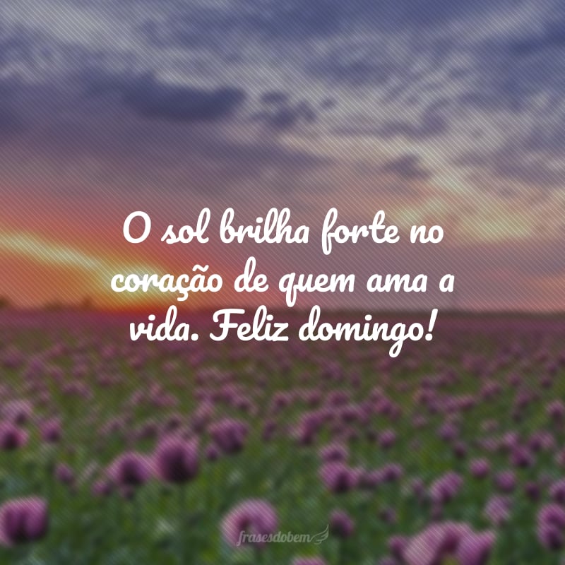 O sol brilha forte no coração de quem ama a vida. Feliz domingo!