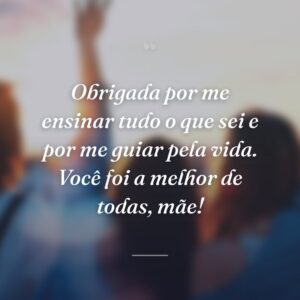 Obrigada por me ensinar tudo o que sei e por me guiar pela vida. Você foi a melhor de todas, mãe!