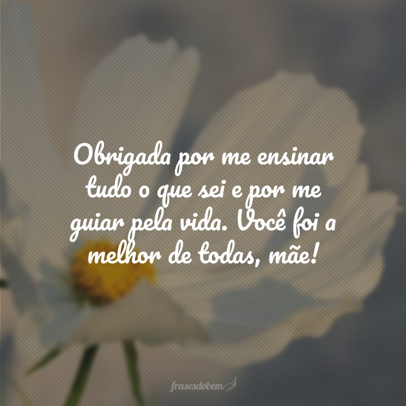 Obrigada por me ensinar tudo o que sei e por me guiar pela vida. Você foi a melhor de todas, mãe!