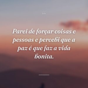 Parei de forçar coisas e pessoas e percebi que a paz é que faz a vida bonita.