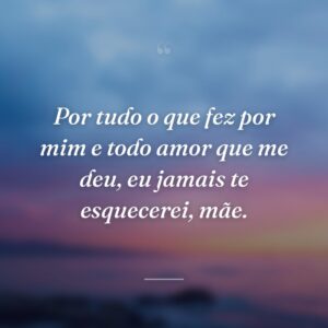 Por tudo o que fez por mim e todo amor que me deu, eu jamais te esquecerei, mãe.