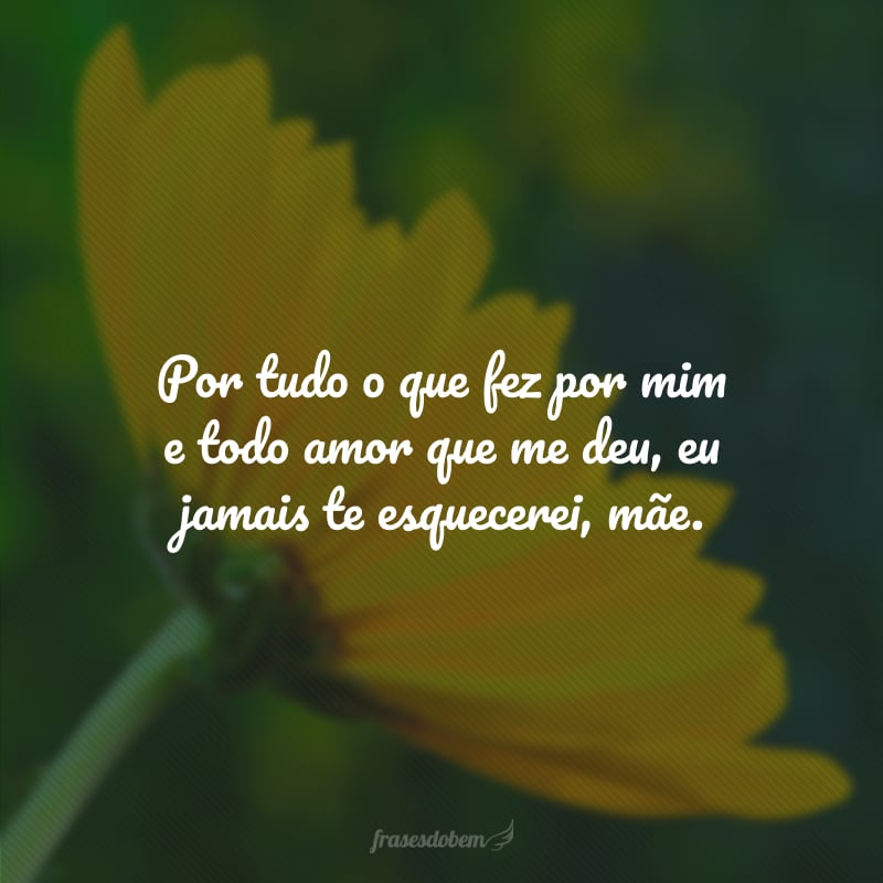 Por tudo o que fez por mim e todo amor que me deu, eu jamais te esquecerei, mãe.