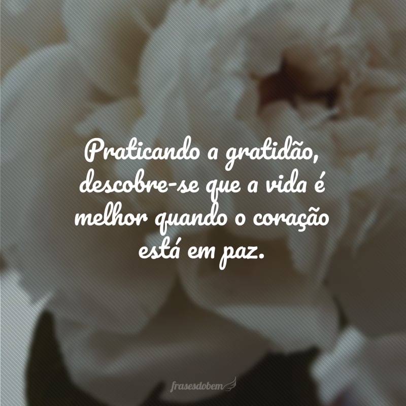 Praticando a gratidão, descobre-se que a vida é melhor quando o coração está em paz.