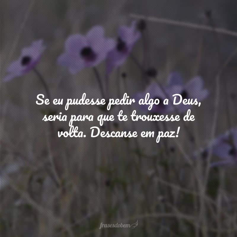 Se eu pudesse pedir algo a Deus, seria para que te trouxesse de volta. Descanse em paz!