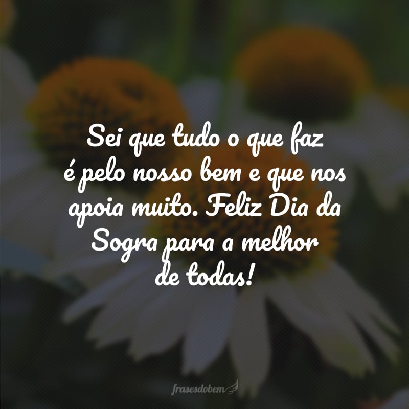 Sei que tudo o que faz é pelo nosso bem e que nos apoia muito. Feliz Dia da Sogra para a melhor de todas!