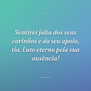 Sentirei falta dos seus carinhos e do seu apoio, tia. Luto eterno pela sua ausência!