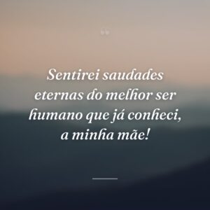 Sentirei saudades eternas do melhor ser humano que já conheci, a minha mãe!