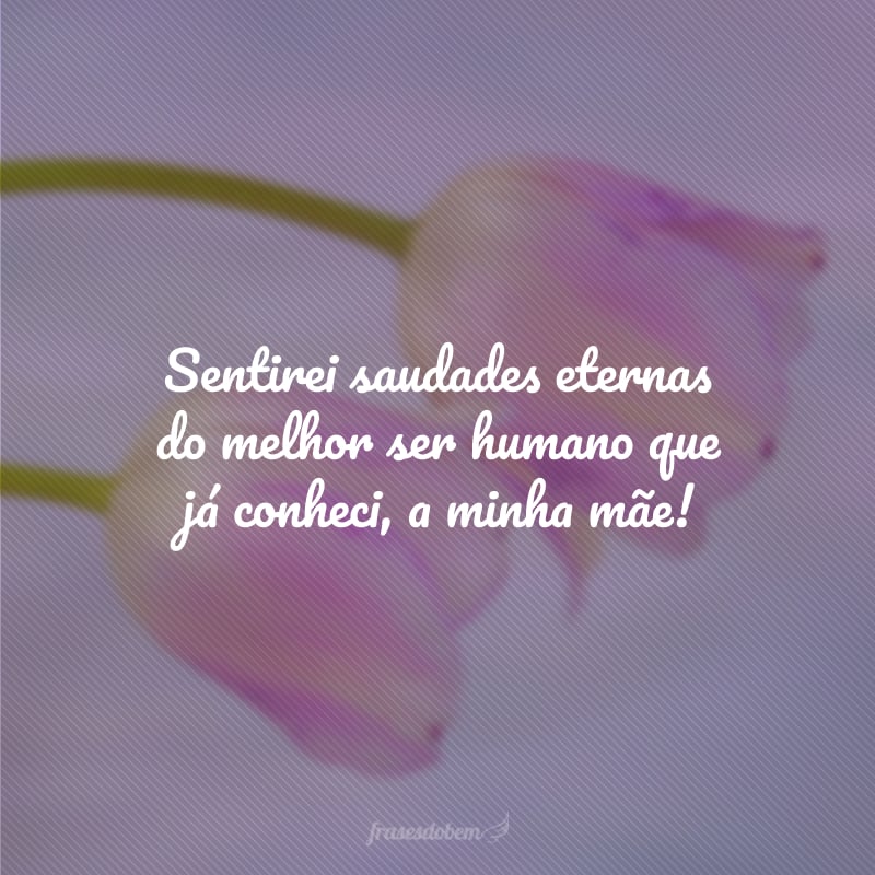 Sentirei saudades eternas do melhor ser humano que já conheci, a minha mãe!