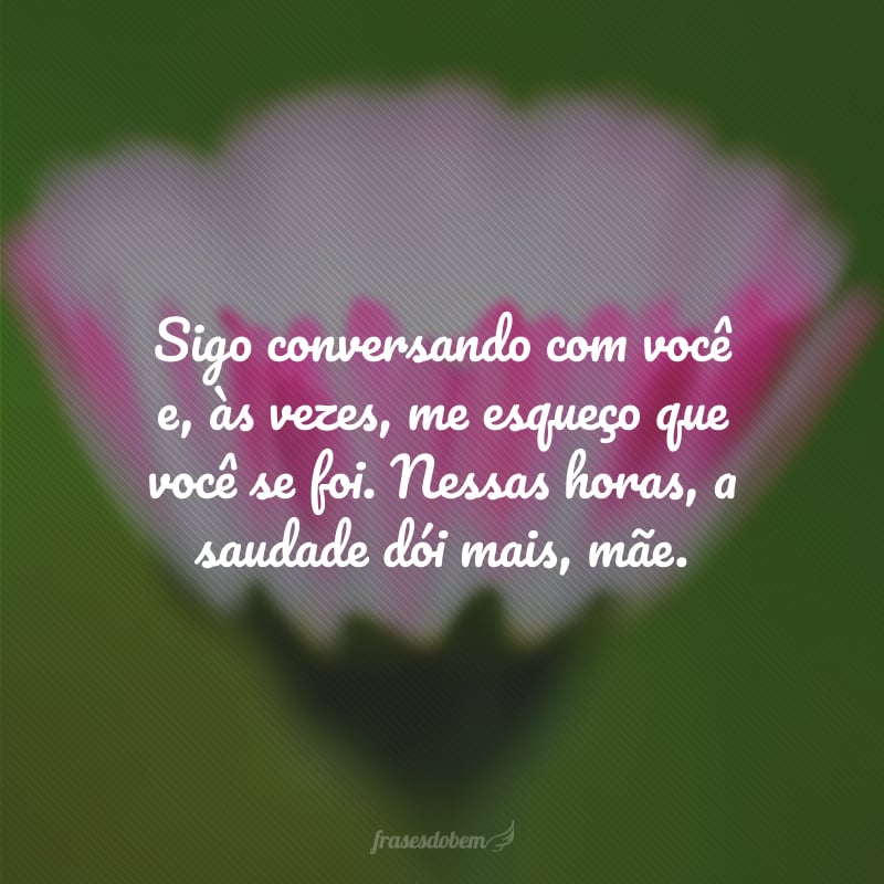 Sigo conversando com você e, às vezes, me esqueço que você se foi. Nessas horas, a saudade dói mais, mãe.