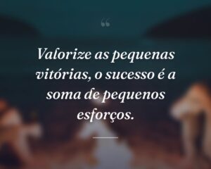 Valorize as pequenas vitórias, o sucesso é a soma de pequenos esforços.