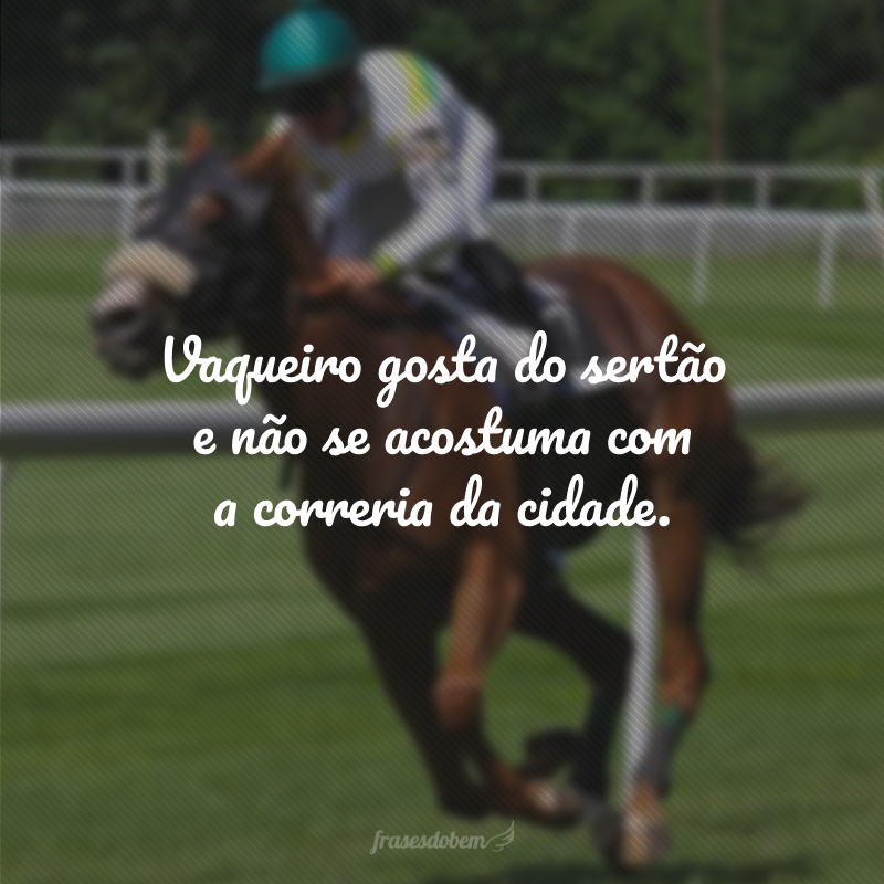 Vaqueiro gosta do sertão e não se acostuma com a correria da cidade.