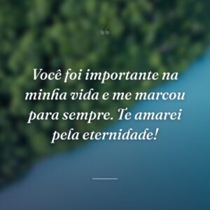 Você foi importante na minha vida e me marcou para sempre. Te amarei pela eternidade!