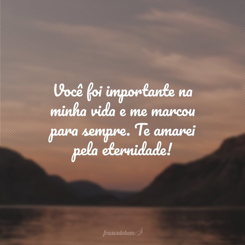 Você foi importante na minha vida e me marcou para sempre. Te amarei pela eternidade!