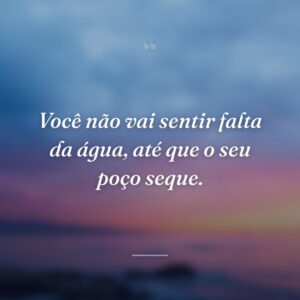 Você não vai sentir falta da água, até que o seu poço seque.