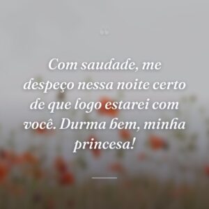Com saudade, me despeço nessa noite certo de que logo estarei com você. Durma bem, minha princesa!