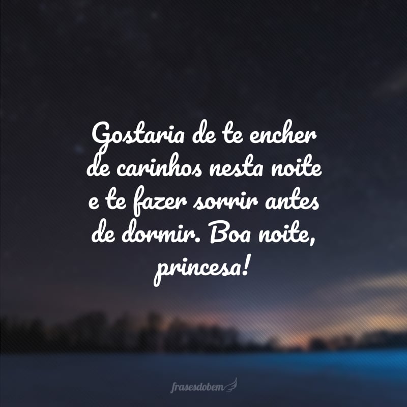 Gostaria de te encher de carinhos nesta noite e te fazer sorrir antes de dormir. Boa noite, princesa!