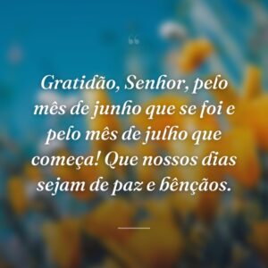 Gratidão, Senhor, pelo mês de junho que se foi e pelo mês de julho que começa! Que nossos dias sejam de paz e bênçãos.
