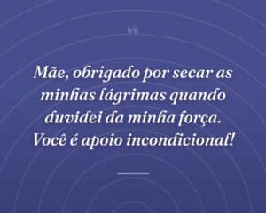 Mãe, obrigado por secar as minhas lágrimas quando duvidei da minha força. Você é apoio incondicional!