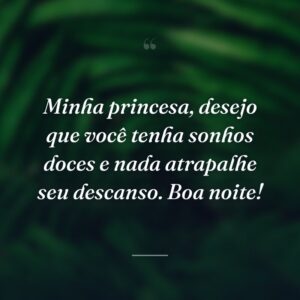 Minha princesa, desejo que você tenha sonhos doces e nada atrapalhe seu descanso. Boa noite!