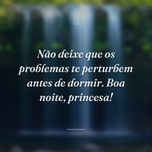 Não deixe que os problemas te perturbem antes de dormir. Boa noite, princesa!