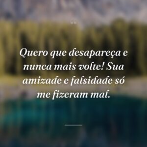 Quero que desapareça e nunca mais volte! Sua amizade e falsidade só me fizeram mal.