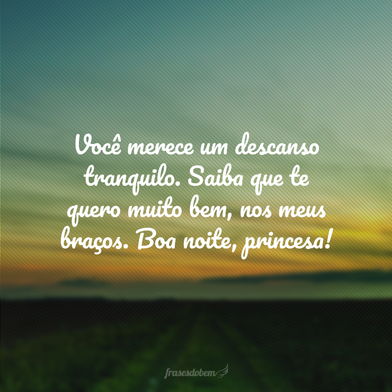 Você merece um descanso tranquilo. Saiba que te quero muito bem, nos meus braços. Boa noite, princesa!