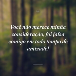 Você não merece minha consideração, foi falsa comigo em todo tempo de amizade!