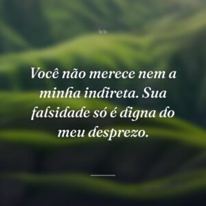 Você não merece nem a minha indireta. Sua falsidade só é digna do meu desprezo.