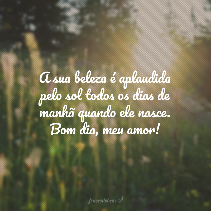 A sua beleza é aplaudida pelo sol todos os dias de manhã quando ele nasce. Bom dia, meu amor!