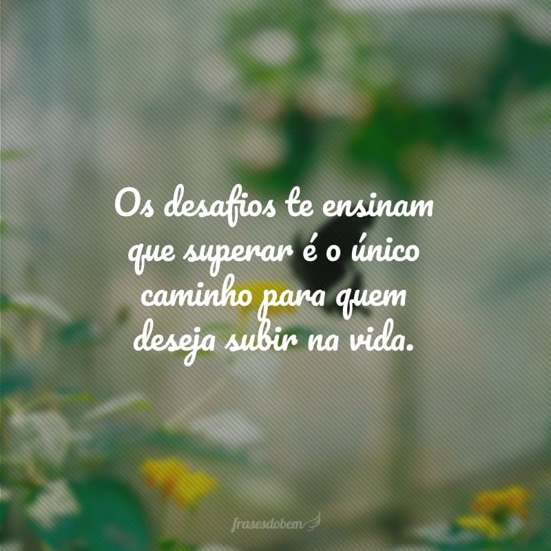 Os desafios te ensinam que superar é o único caminho para quem deseja subir na vida.