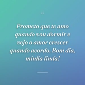 Prometo que te amo quando vou dormir e vejo o amor crescer quando acordo. Bom dia, minha linda!