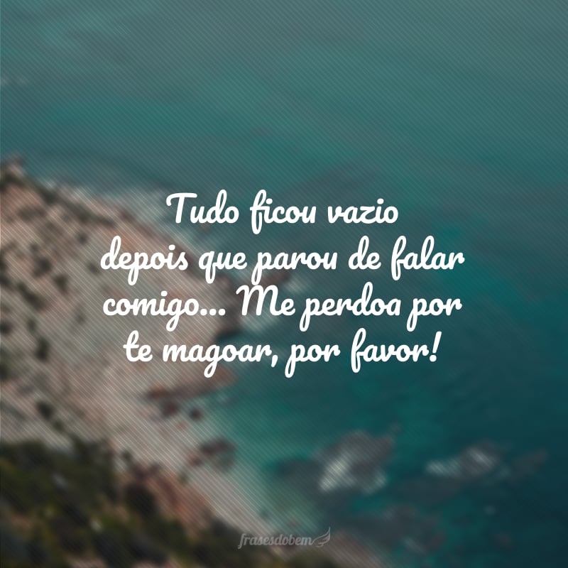 Tudo ficou vazio depois que parou de falar comigo... Me perdoa por te magoar, por favor!