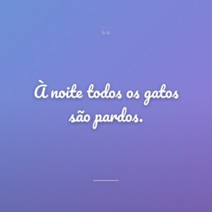 À noite todos os gatos são pardos.
