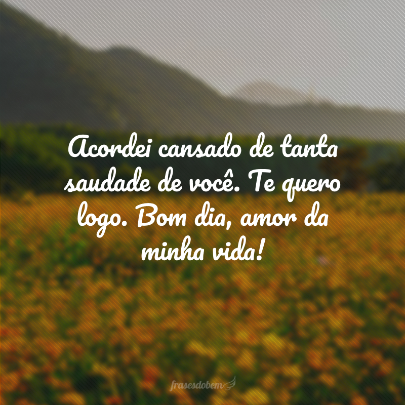 Acordei cansado de tanta saudade de você. Te quero logo. Bom dia, amor da minha vida!