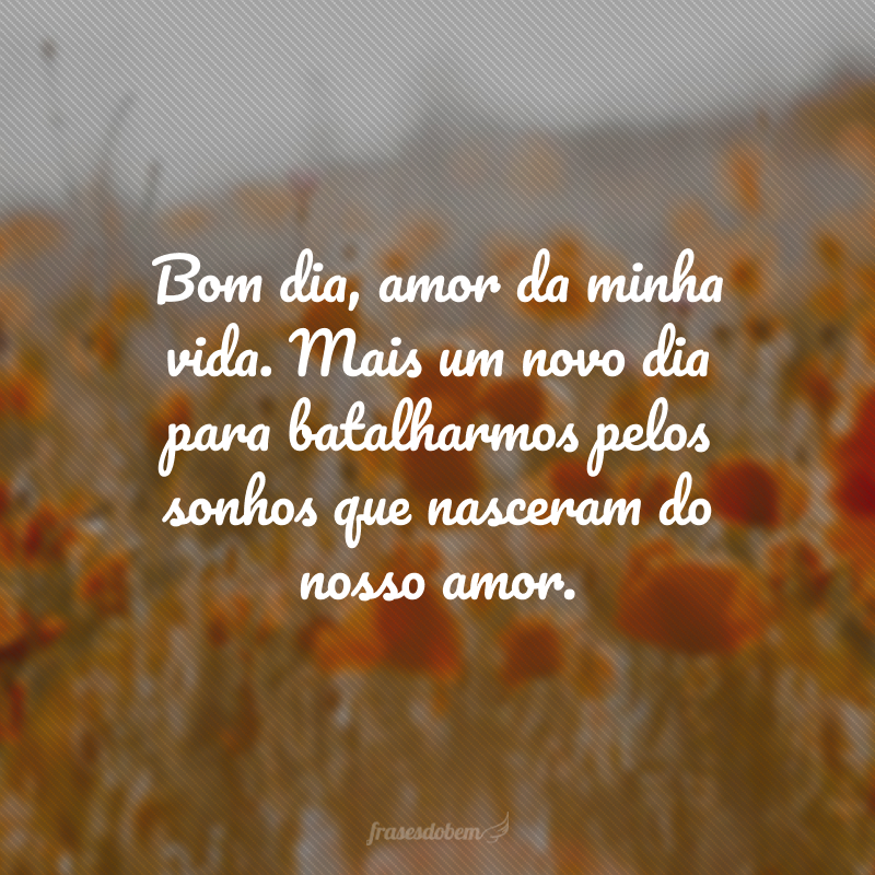 Bom dia, amor da minha vida. Mais um novo dia para batalharmos pelos sonhos que nasceram do nosso amor.