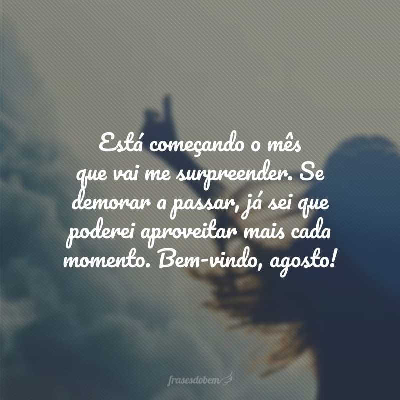 Está começando o mês que vai me surpreender. Se demorar a passar, já sei que poderei aproveitar mais cada momento. Bem-vindo, agosto!