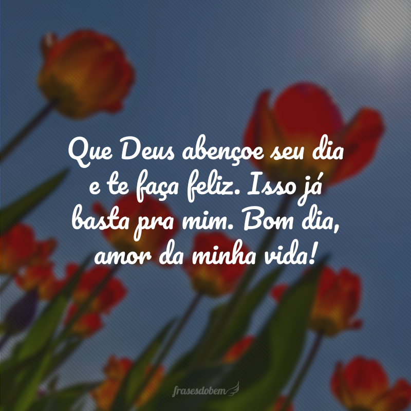 Que Deus abençoe seu dia e te faça feliz. Isso já basta pra mim. Bom dia, amor da minha vida!