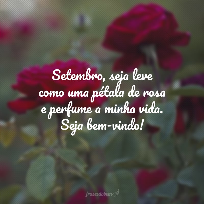 Setembro, seja leve como uma pétala de rosa e perfume a minha vida. Seja bem-vindo!