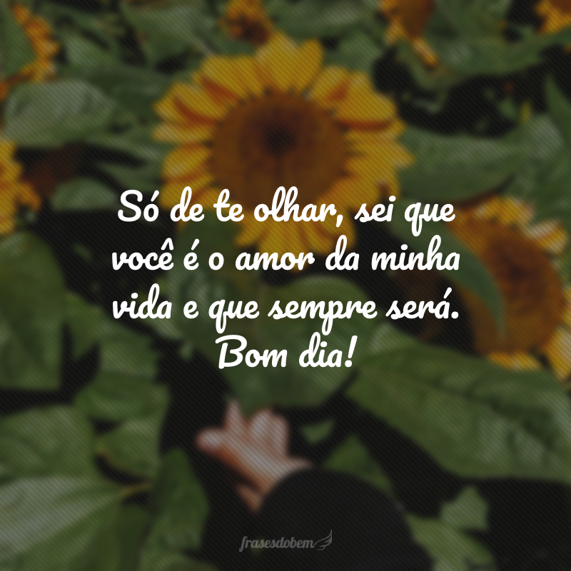 Só de te olhar, sei que você é o amor da minha vida e que sempre será. Bom dia!