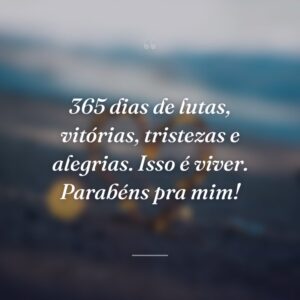 365 dias de lutas, vitórias, tristezas e alegrias. Isso é viver. Parabéns pra mim!