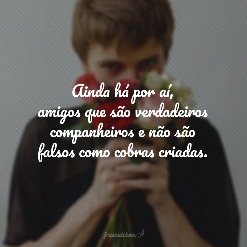 Ainda há por aí, amigos que são verdadeiros companheiros e não são falsos como cobras criadas.