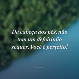 Da cabeça aos pés, não tem um defeitinho sequer. Você é perfeito!