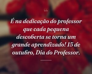 É na dedicação do professor que cada pequena descoberta se torna um grande aprendizado! 15 de outubro, Dia do Professor.