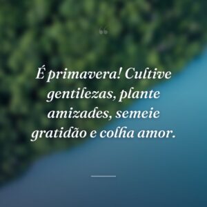É primavera! Cultive gentilezas, plante amizades, semeie gratidão e colha amor.