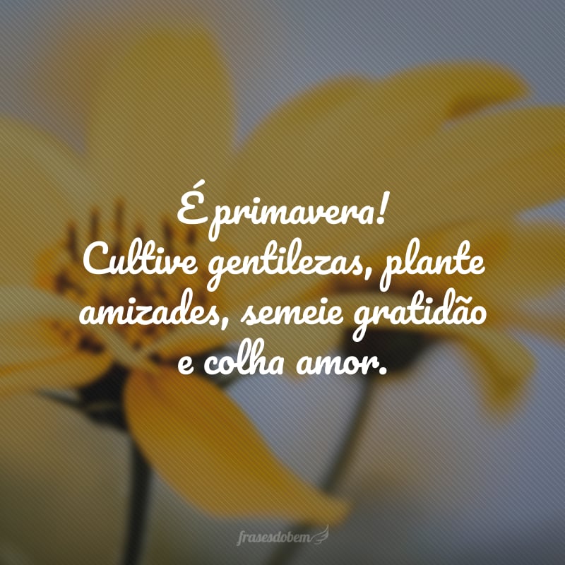 É primavera! Cultive gentilezas, plante amizades, semeie gratidão e colha amor.