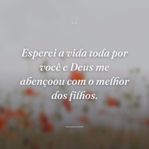 Esperei a vida toda por você e Deus me abençoou com o melhor dos filhos.